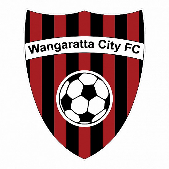Wang City FC